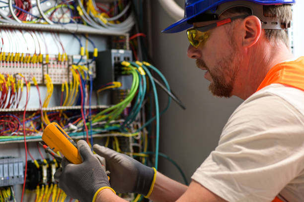 Best Electrician for Home Renovation  in Rosharon, TX